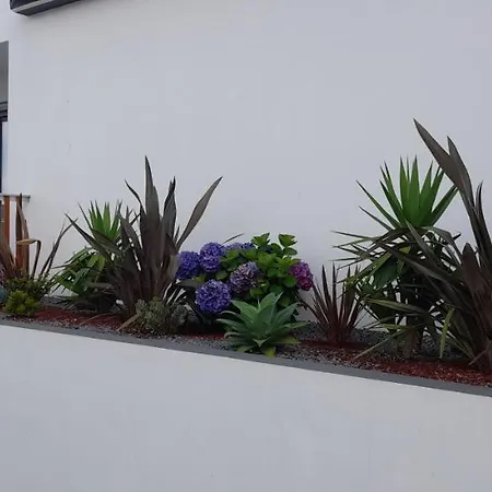 Serenity Azores - Casa Da Aldeia بيت للعطل *